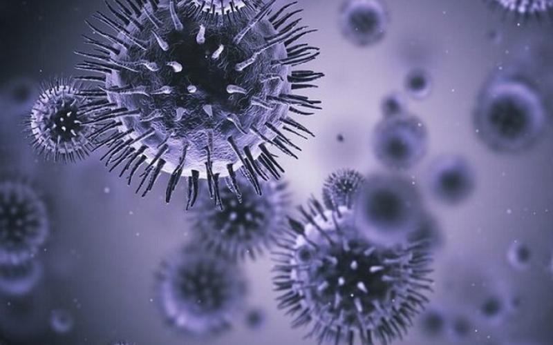 فاکتورهای مشترک در مرگ افراد مبتلا به کووید ۱۹