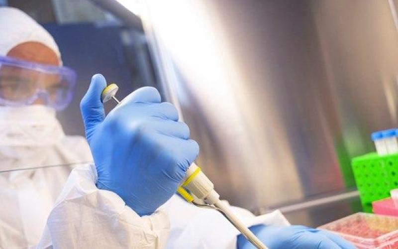 ادعای یک شرکت مستقر در آمریکا؛ واکسن کرونا به تولید انبوه رسید