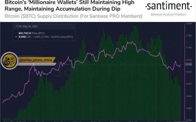 برخی آدرس های بیت کوین در حال افزایش ذخایر خود هستند
