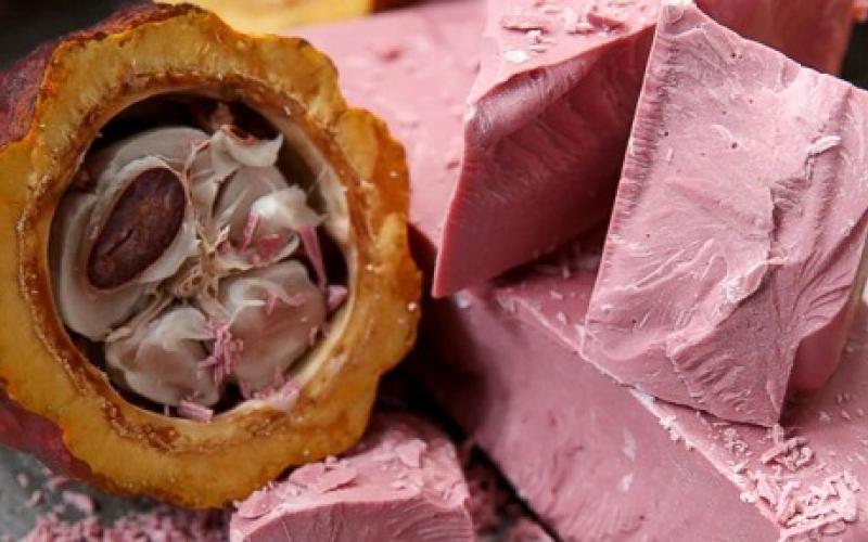 تولید شکلات یاقوتی در سوئیس