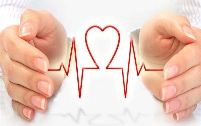 استارتاپ‌ها و فریلنسرها از خدمات بیمه تکمیلی فناورانه برخوردار می‌شوند