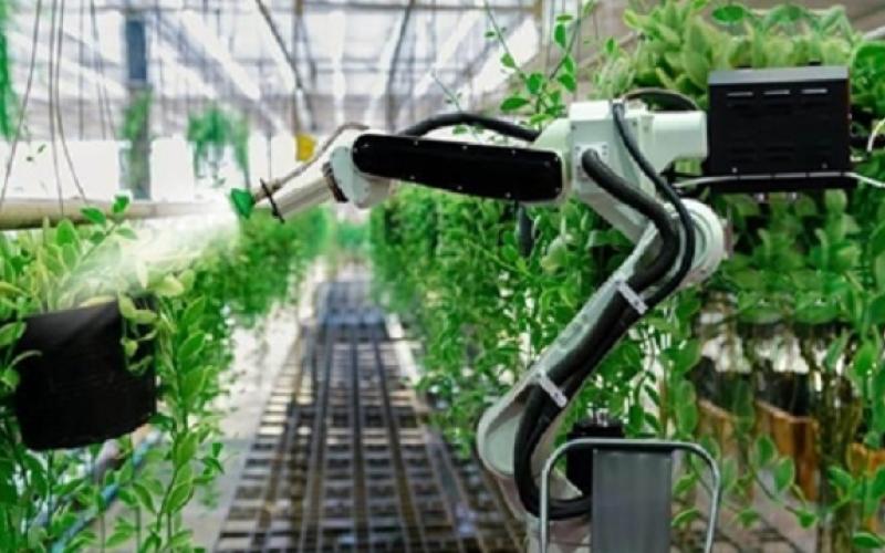 ارتقای فناوری‌های حوزه باغبانی در سطح بین المللی