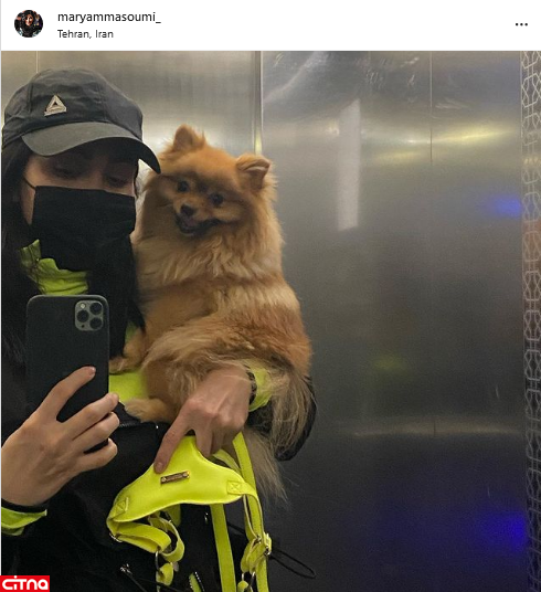انتشار تصویری از ست مریم معصومی با سگ میلیونی‌اش
