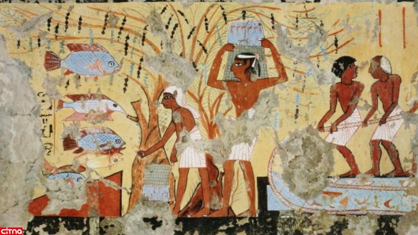 غذای متفاوت نجیب‌زادگان و فراعنه‌ مصر چه بود؟