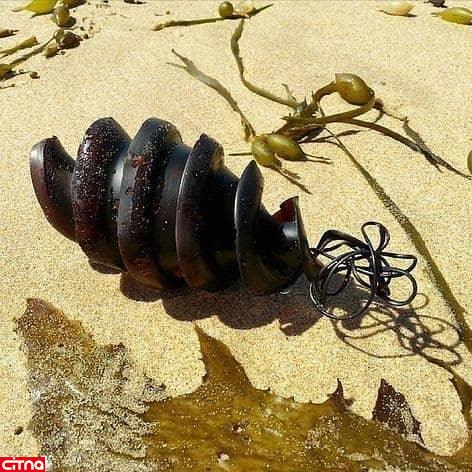 این شی عجیب در اعماق اقیانوس هند یافت شد