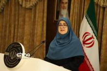 سخنگوی دولت مهاجرانی