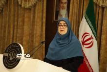 سخنگوی دولت مهاجرانی