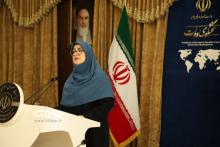 سخنگوی دولت مهاجرانی