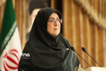 سخنگوی دولت مهاجرانی