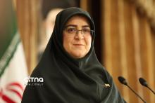 سخنگوی دولت مهاجرانی