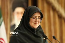 سخنگوی دولت مهاجرانی