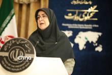 سخنگوی دولت مهاجرانی