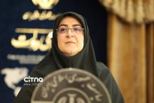 سخنگوی دولت مهاجرانی