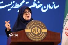 سخنگوی دولت 