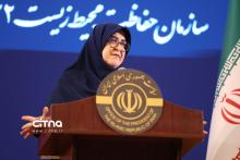سخنگوی دولت 