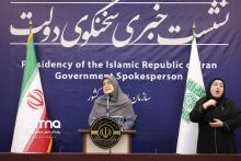سخنگوی دولت