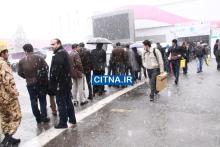 گزارش تصویری از نوزدهمین نمایشگاه الکامپ 2013