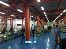 مدیرعامل شرکت تکوین الکترونیک در پاسخ به سیتنا: در آینده‌ی نزدیک هاب شرکت سامسونگ در منطقه‌ی خاورمیانه خواهیم شد