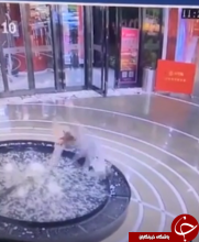 سقوط خانم معتاد به موبایل داخل حوض آب (+تصاویر)